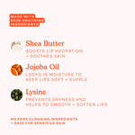 List of skin-soothing ingredients with icons and descriptions on a white background [Lil’ Softies Lip Treatment Set]