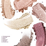 Color swatches of makeup shades with labels on a white background [GoGo Eyeshadow Deluxe Set]